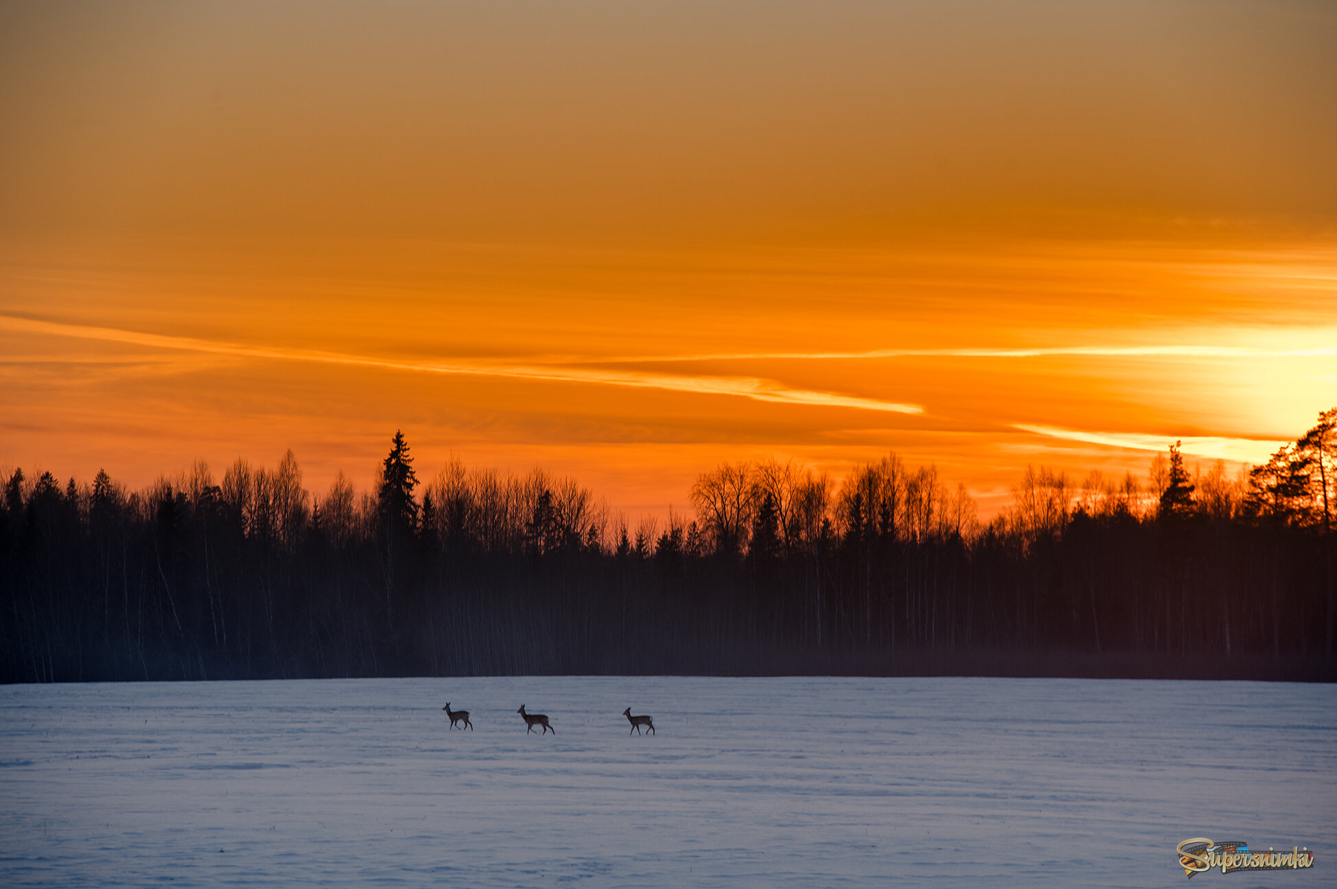 6996ade7018e479e9645ab5f