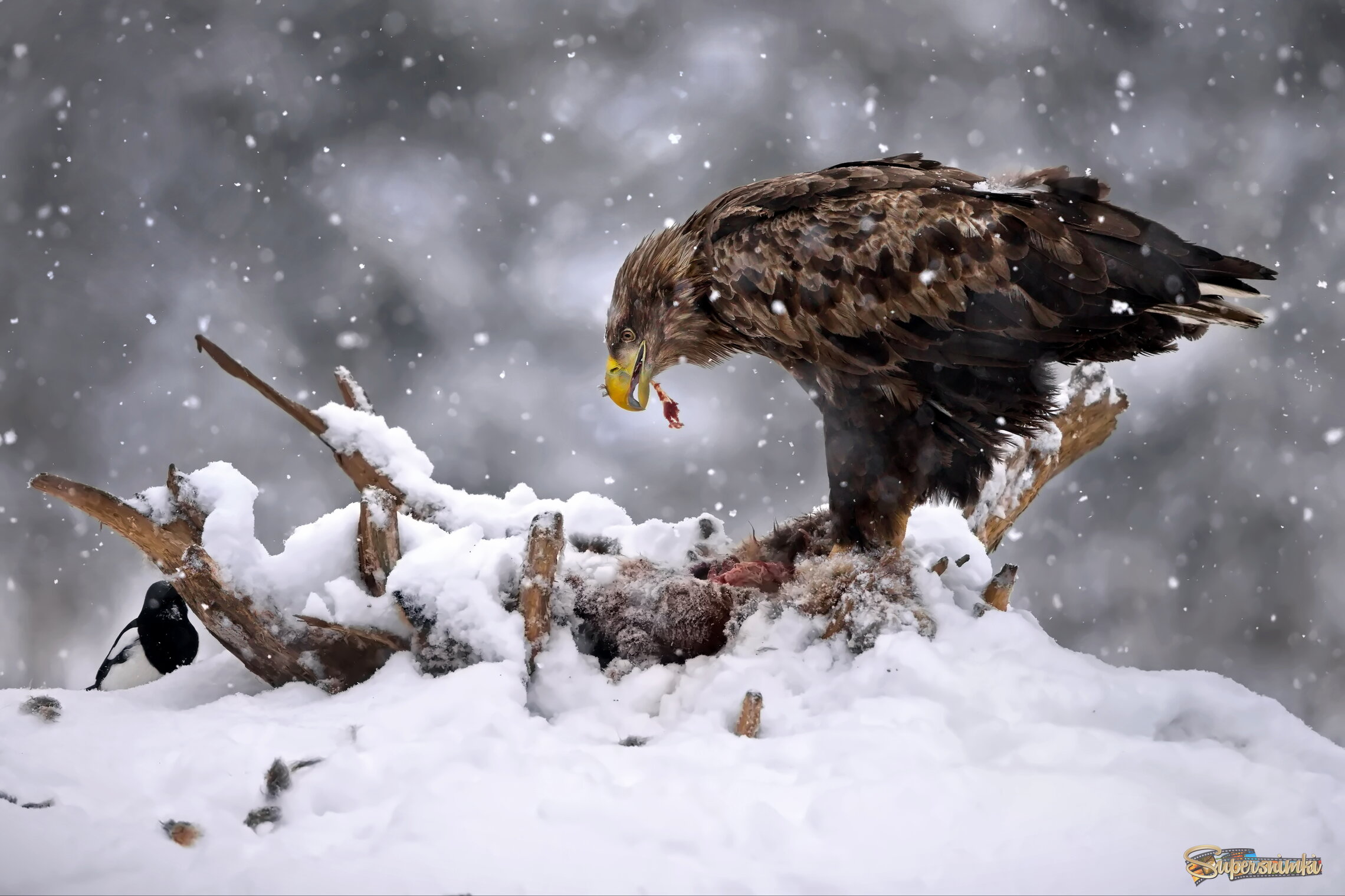 Конец трапезы