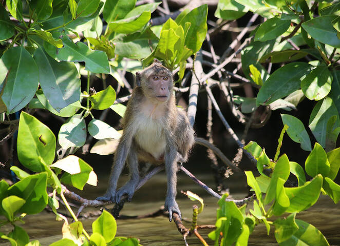 Время плыть....