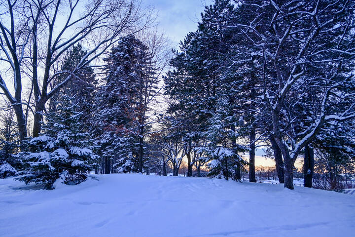 СнегА и немного солнца