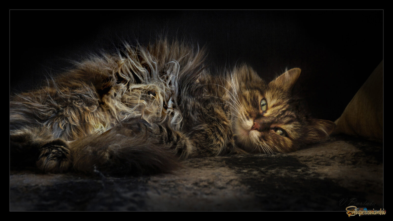 Лохматушка