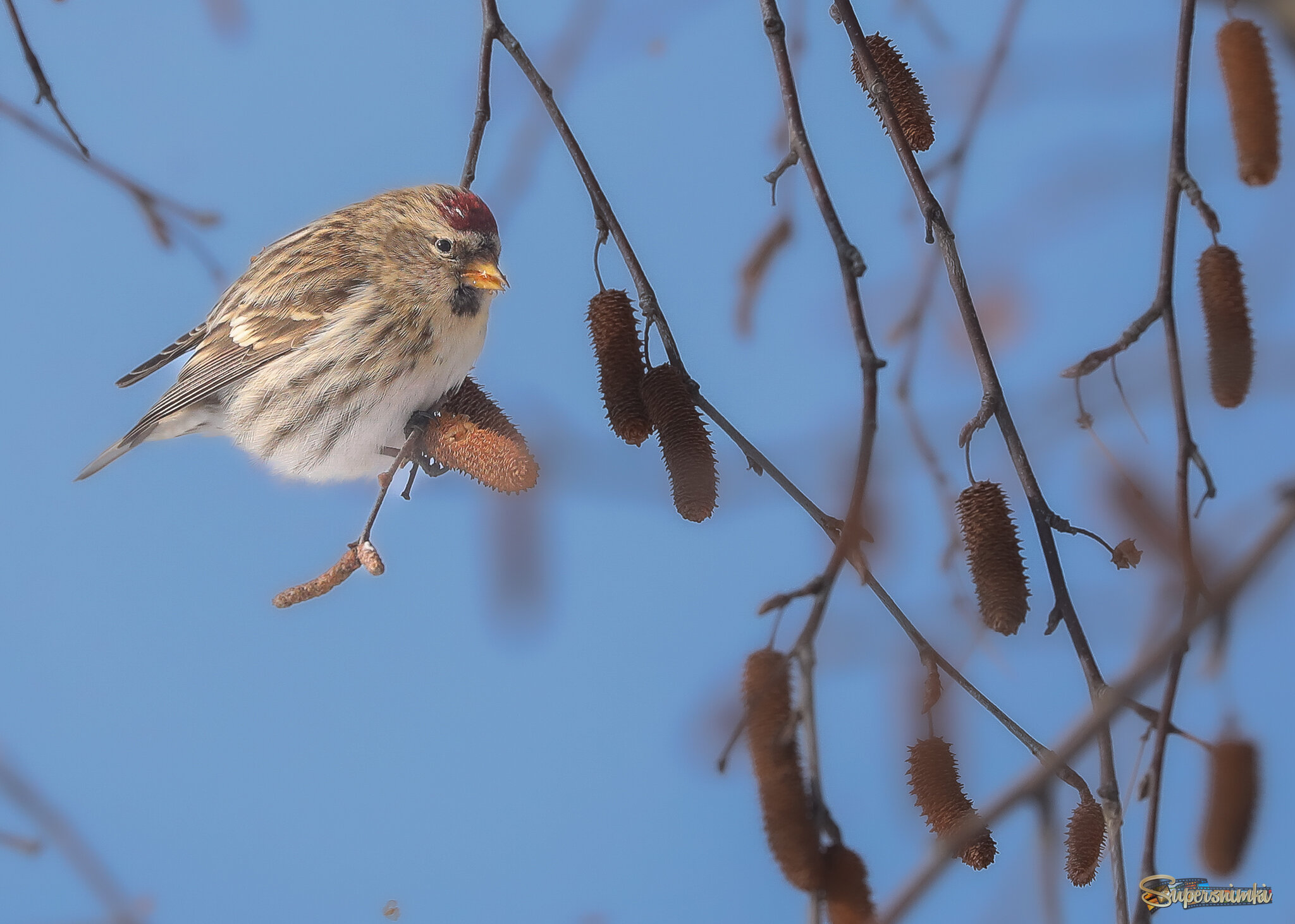 И это всё мне?!