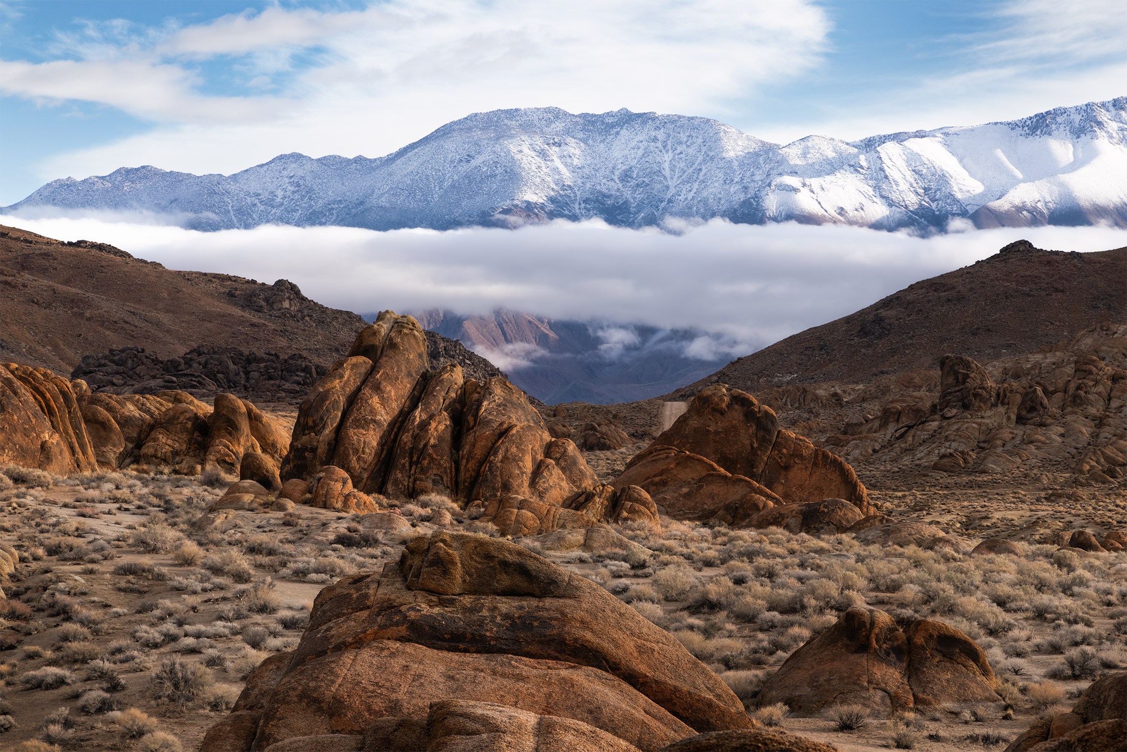 Холмы Алабамы