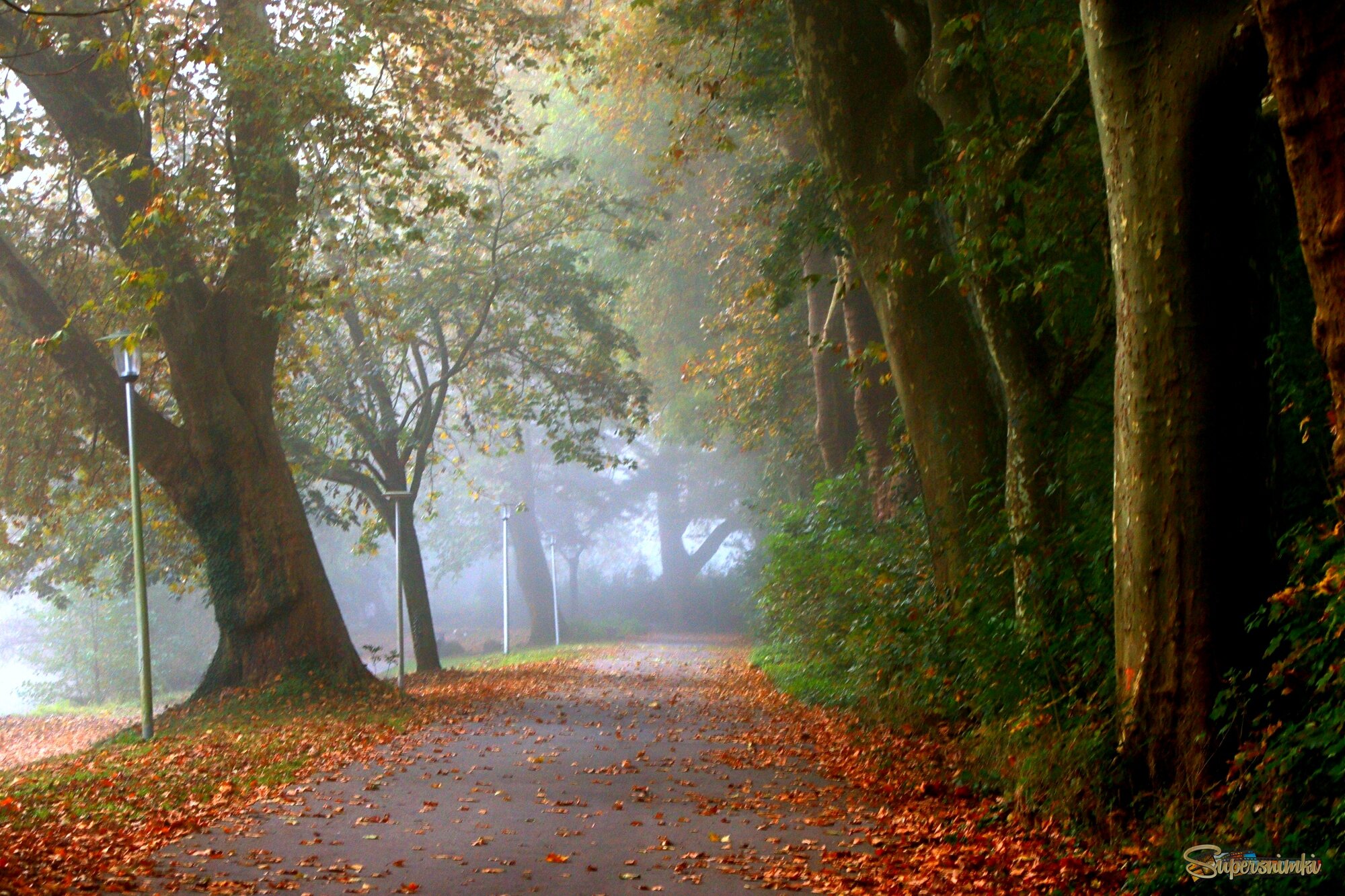 Последний день октября