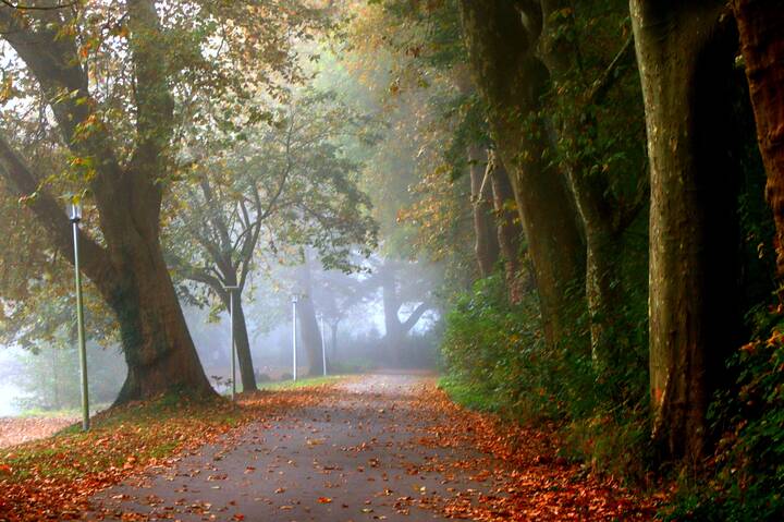 Последний день октября