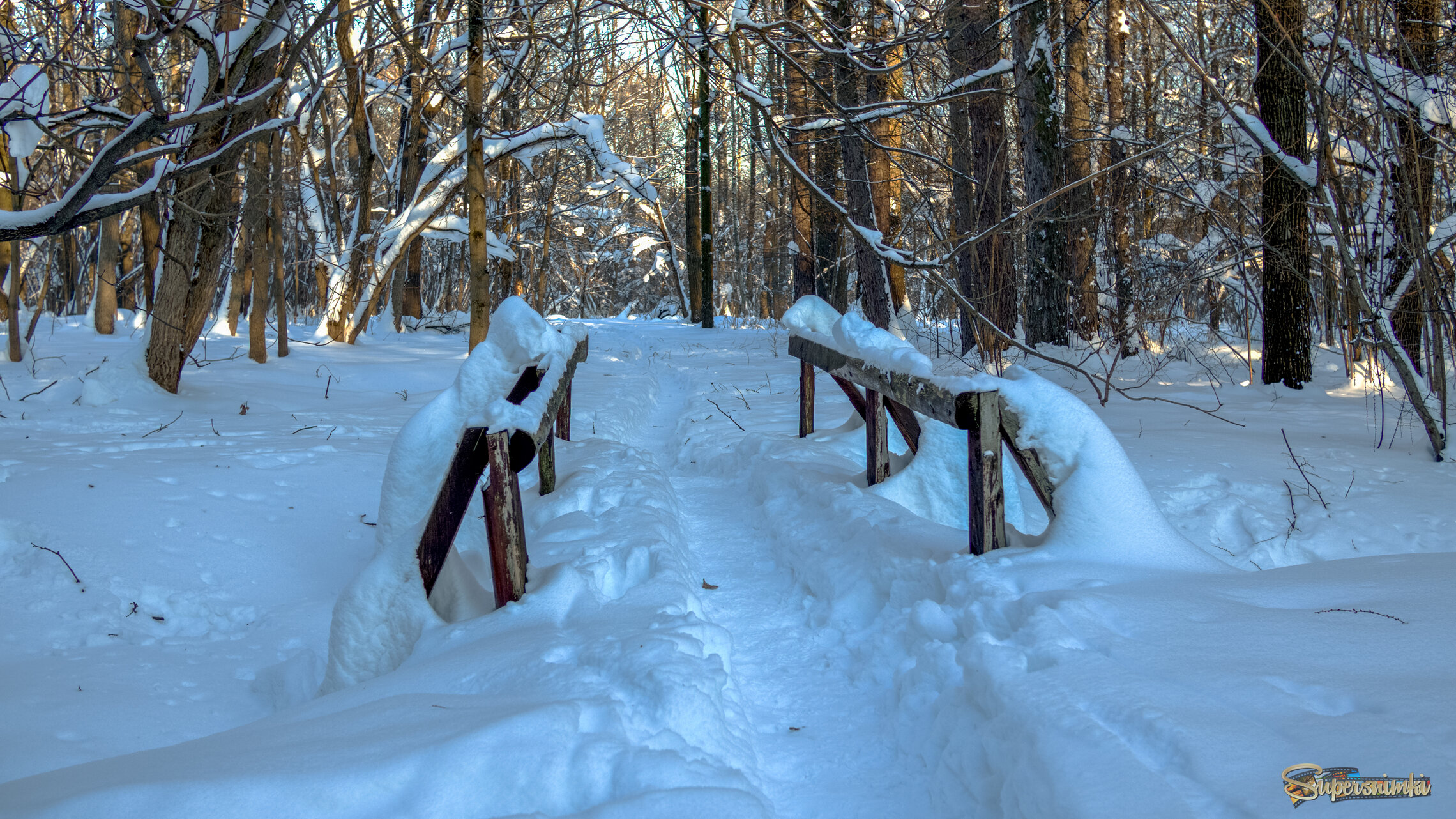 Прогулки в Зимнем Парке