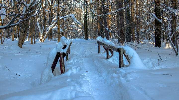 Прогулки в Зимнем Парке