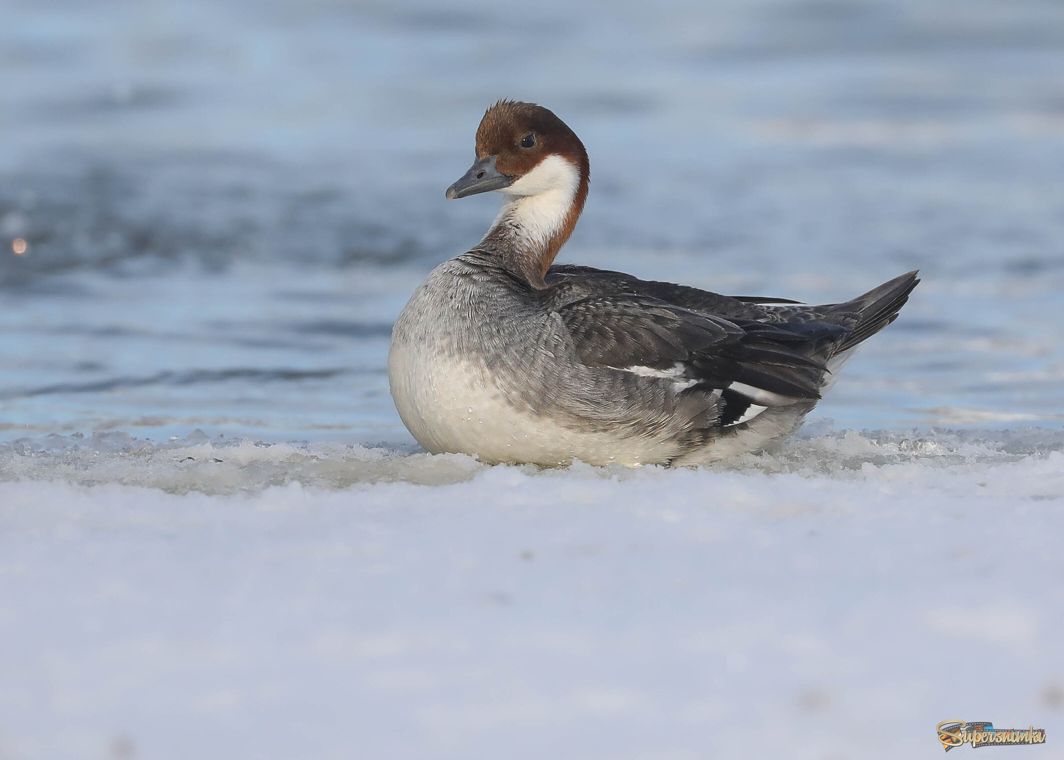 Отдых всем необходим!