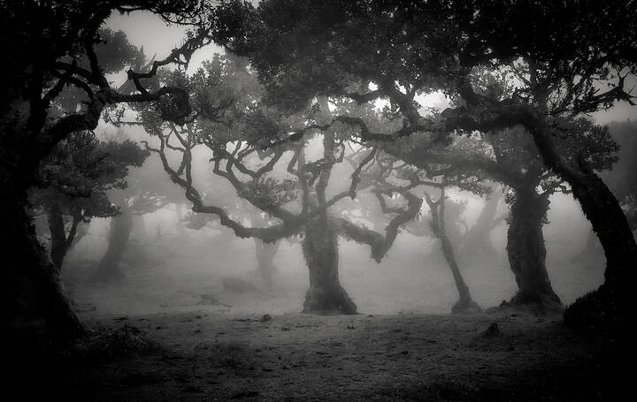 Волшебство Португалии...