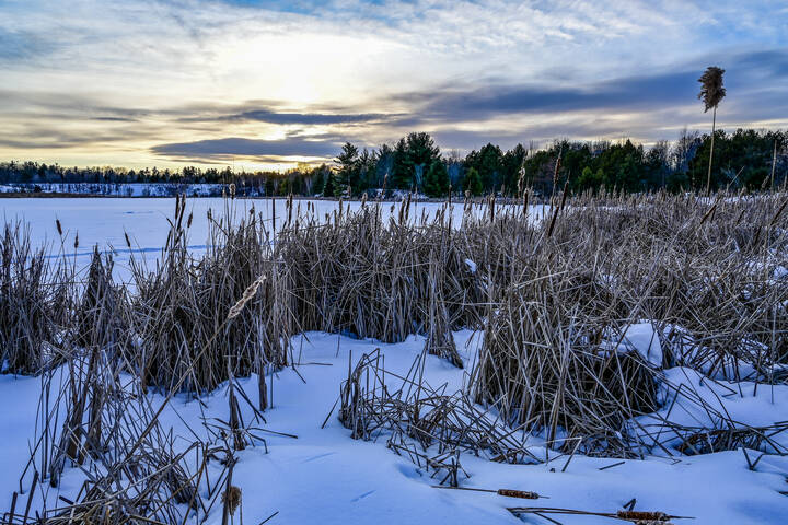 Прогулка вкруг карьера