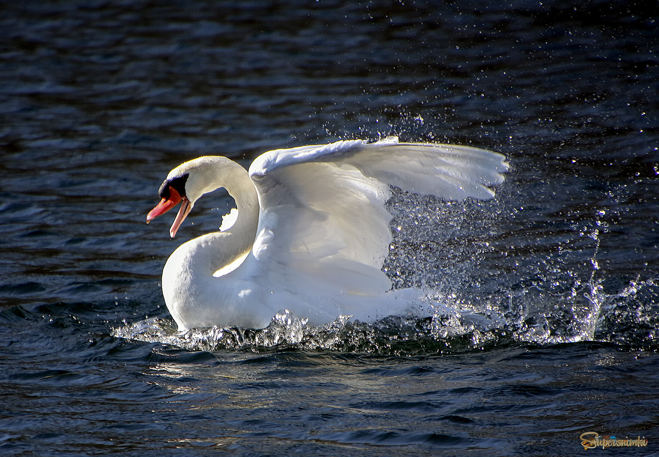 Весенний клич