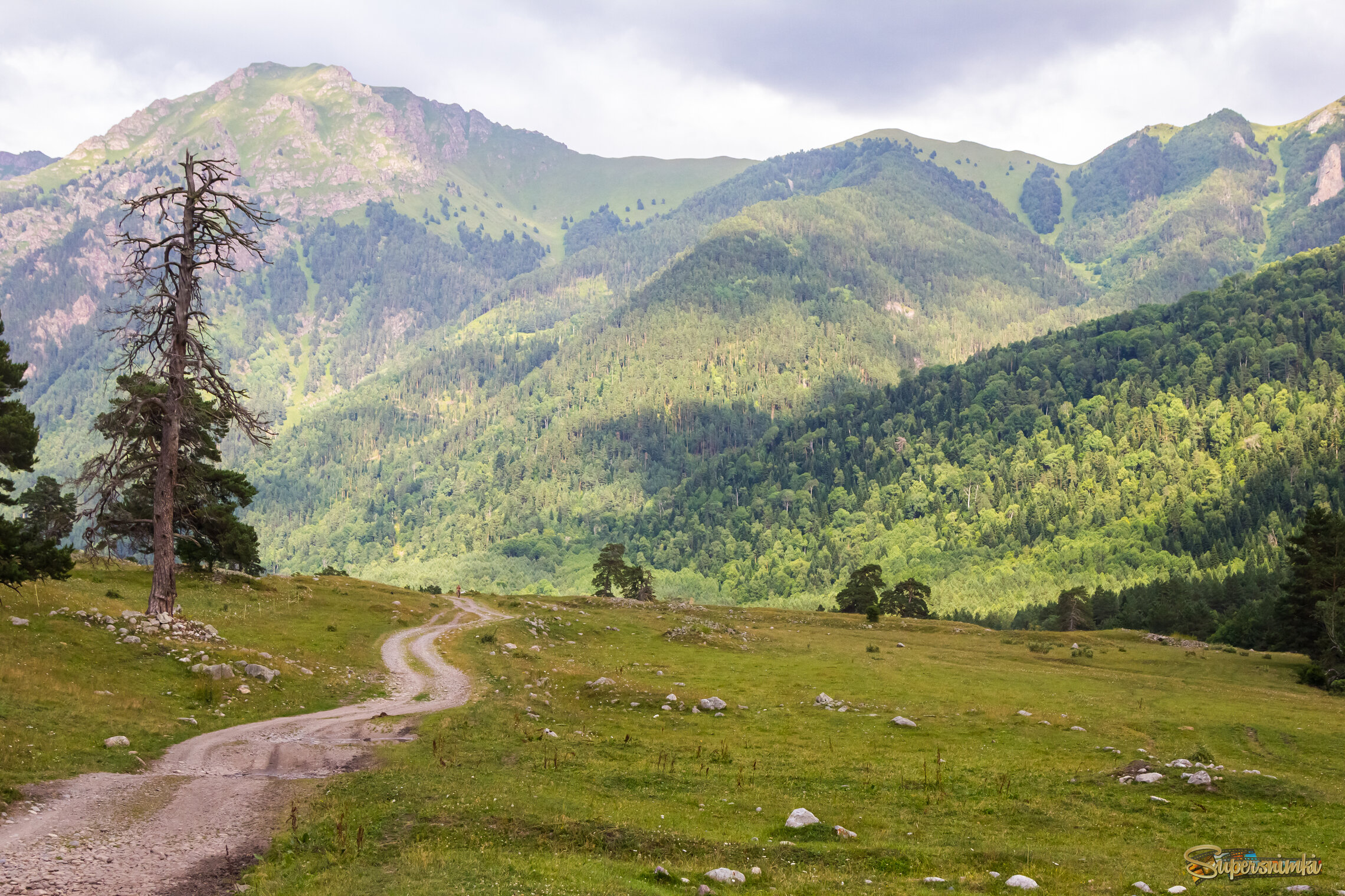 По извилистой грунтовке
