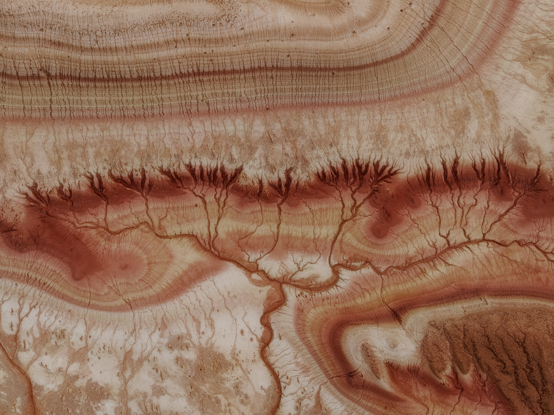 Древо жизни