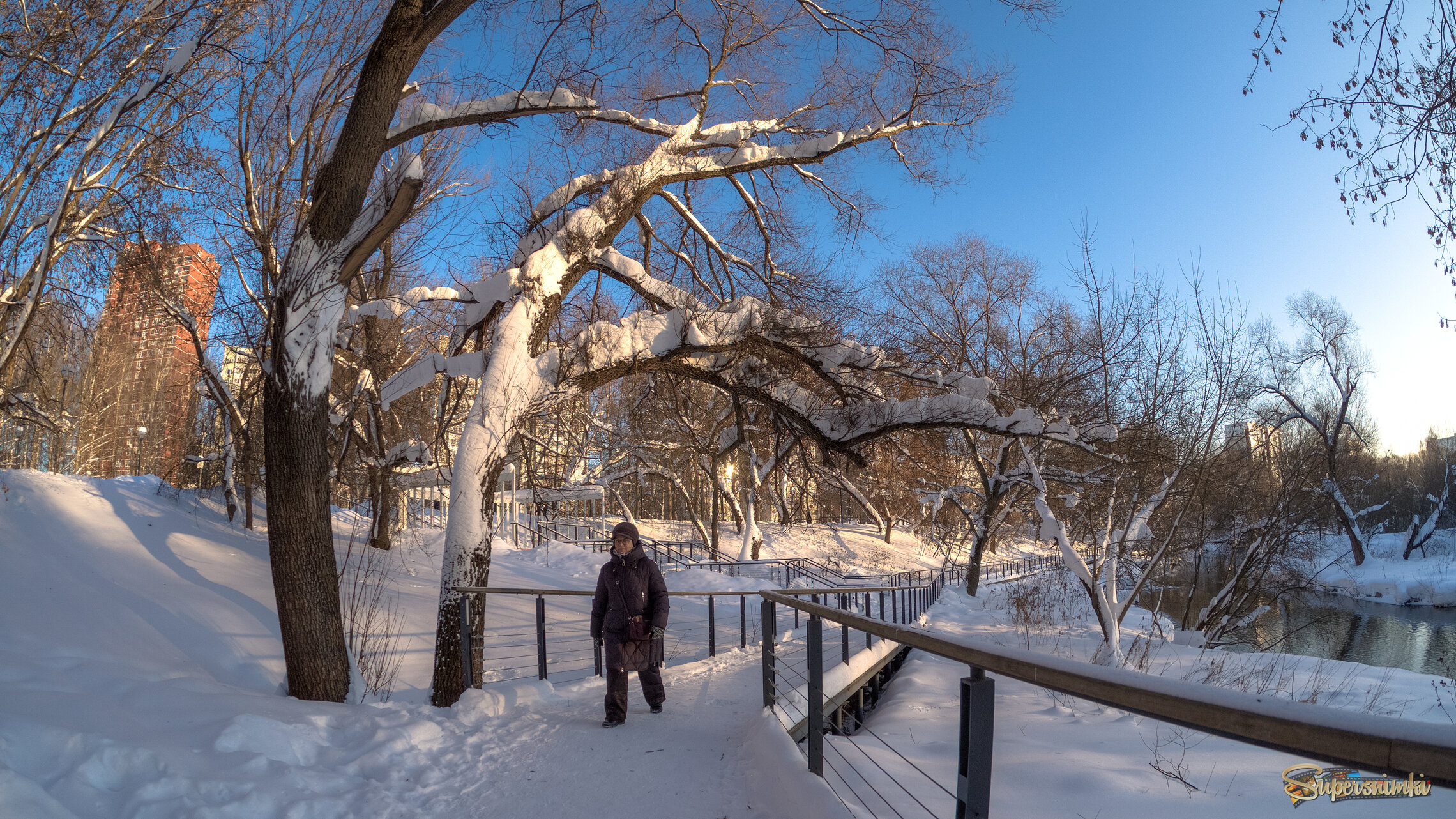 Прогулки в Зимнем Парке