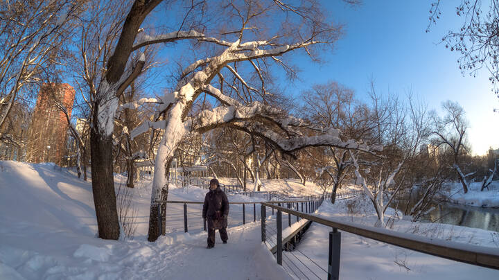 Прогулки в Зимнем Парке