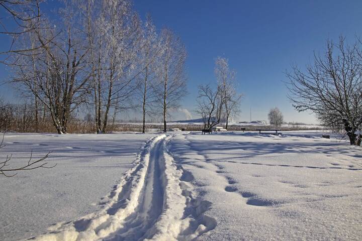 Лыжня.