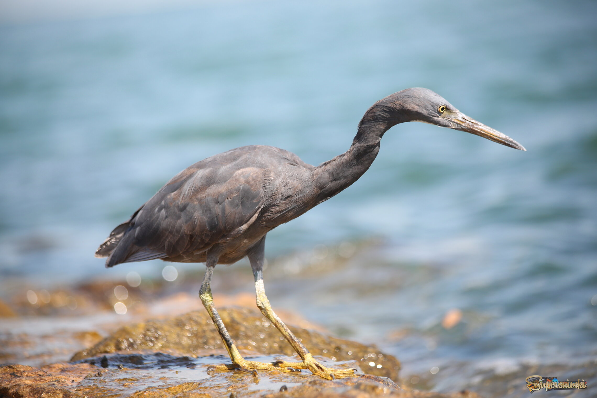 На берегу моря