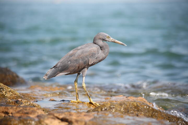 На берегу моря