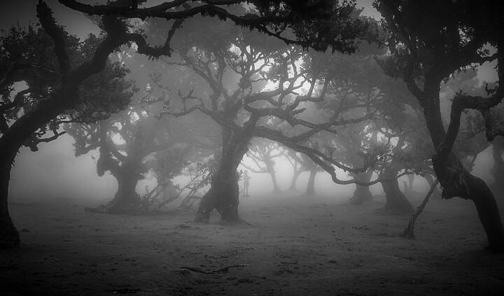 Волшебство Португалии...