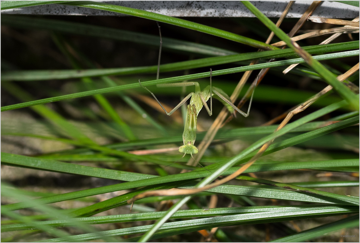 Мир вверх тормашками...