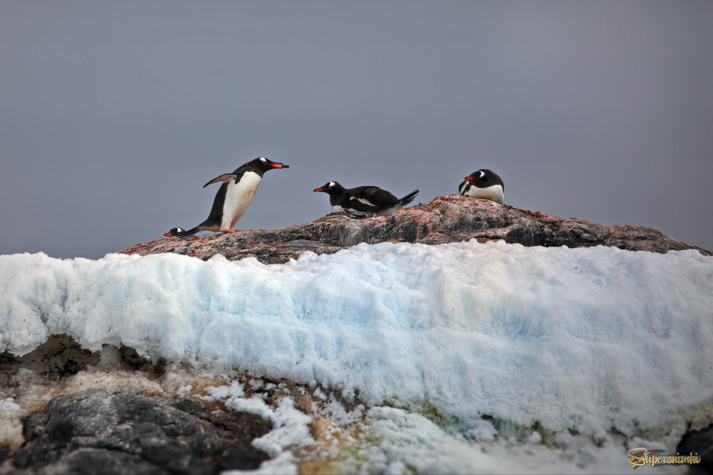 Камушек для любимой
