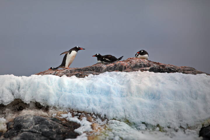 Камушек для любимой