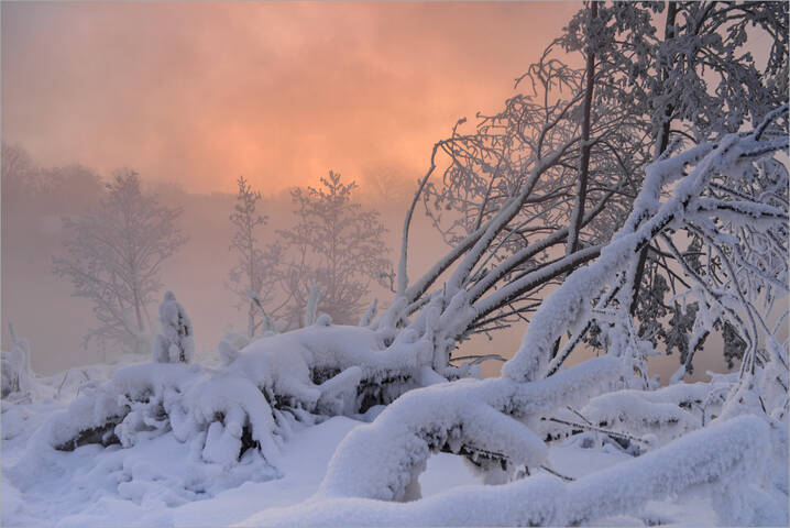 На рассвете в морозном январе.