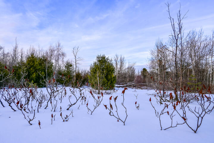 Заброшенный карьер