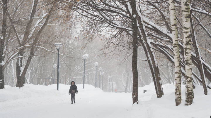 Непогода в Зимнем Парке
