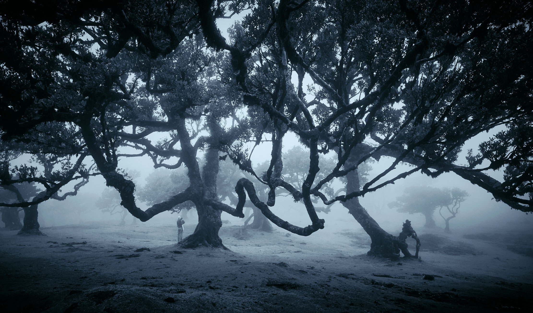 Волшебство Португалии...