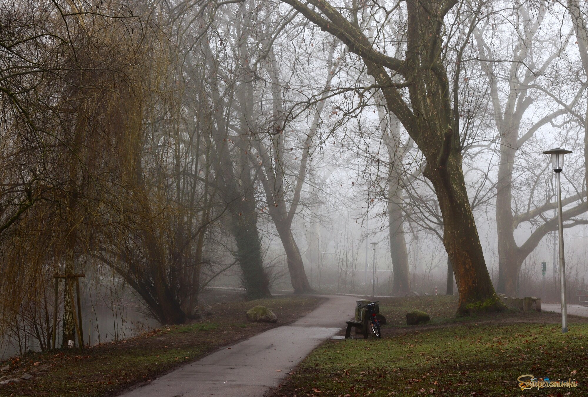 Туманный февраль