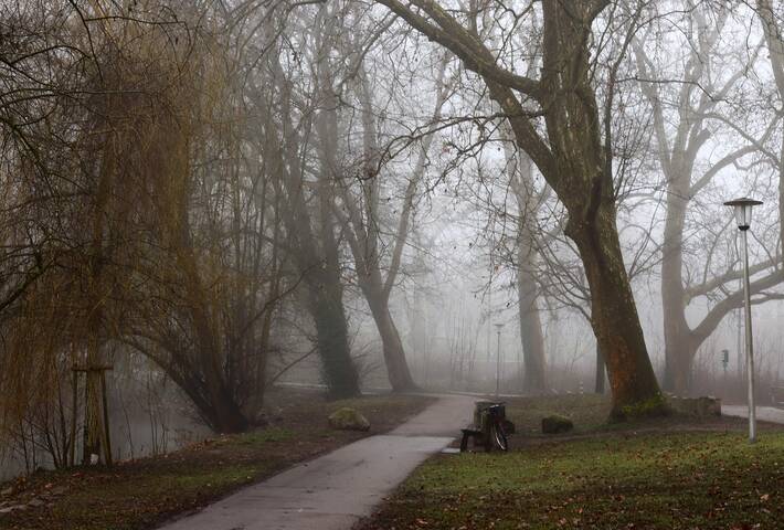 Туманный февраль