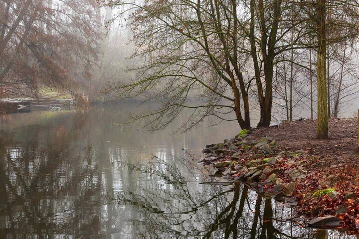 Февральский туман
