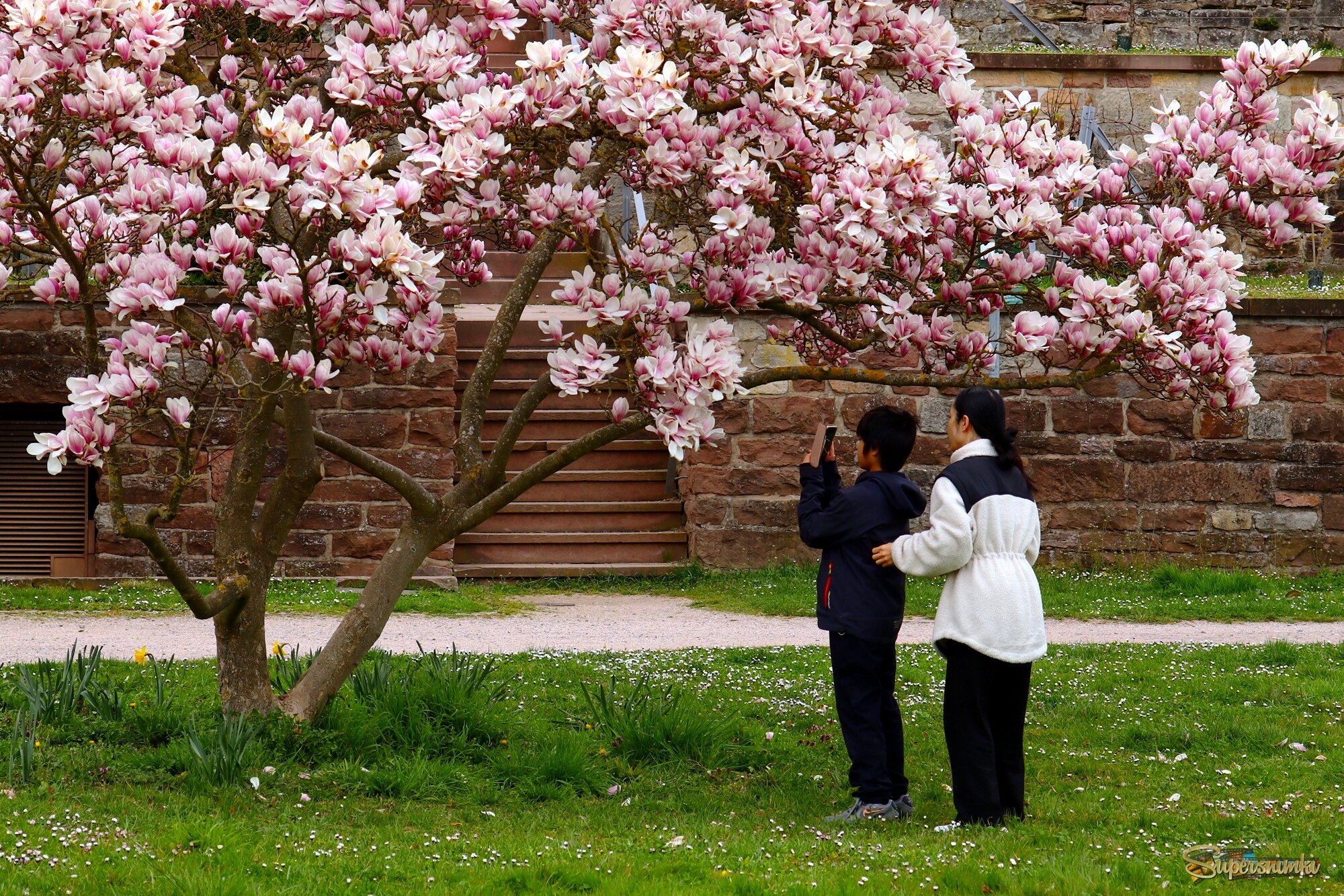 Отправим фото во Вьетнам