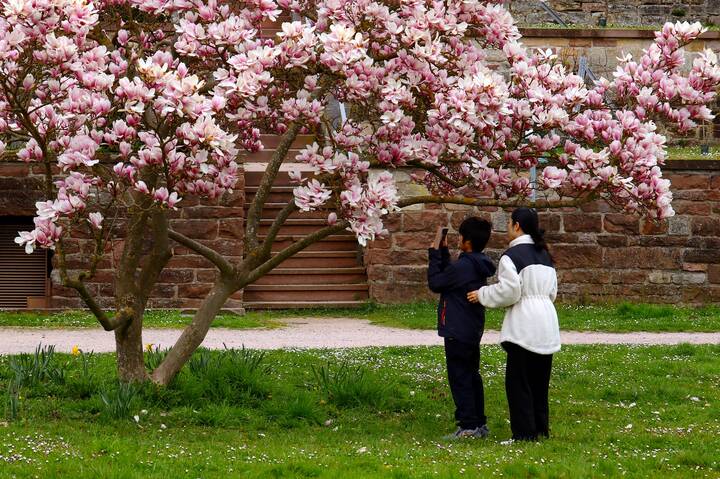 Отправим фото во Вьетнам