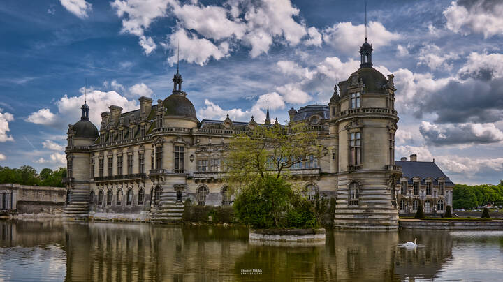 Об одинокой белой птице...