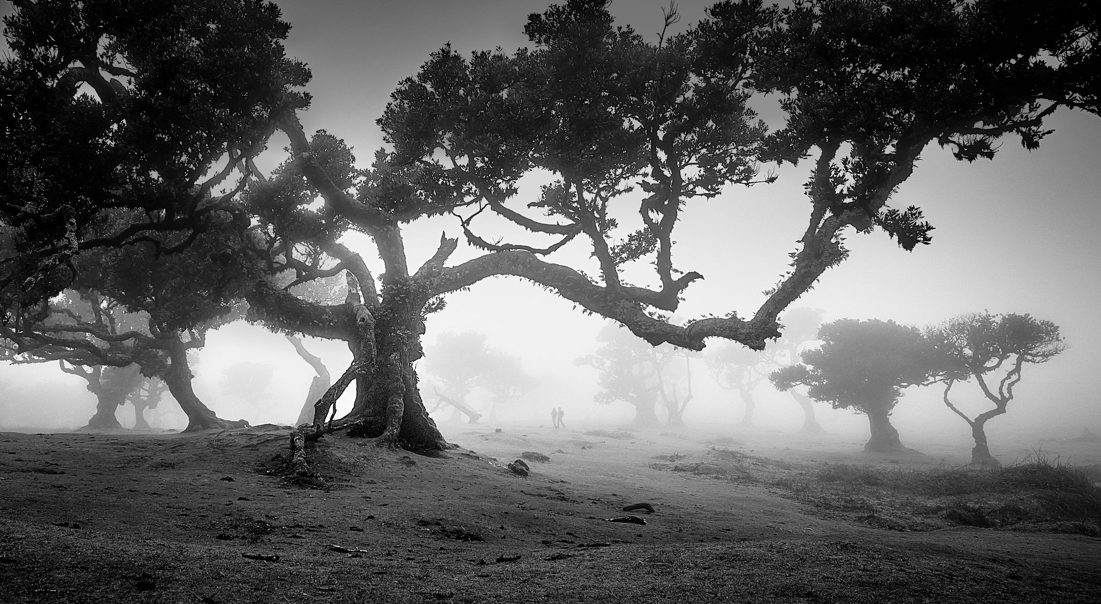 Волшебство Португалии...