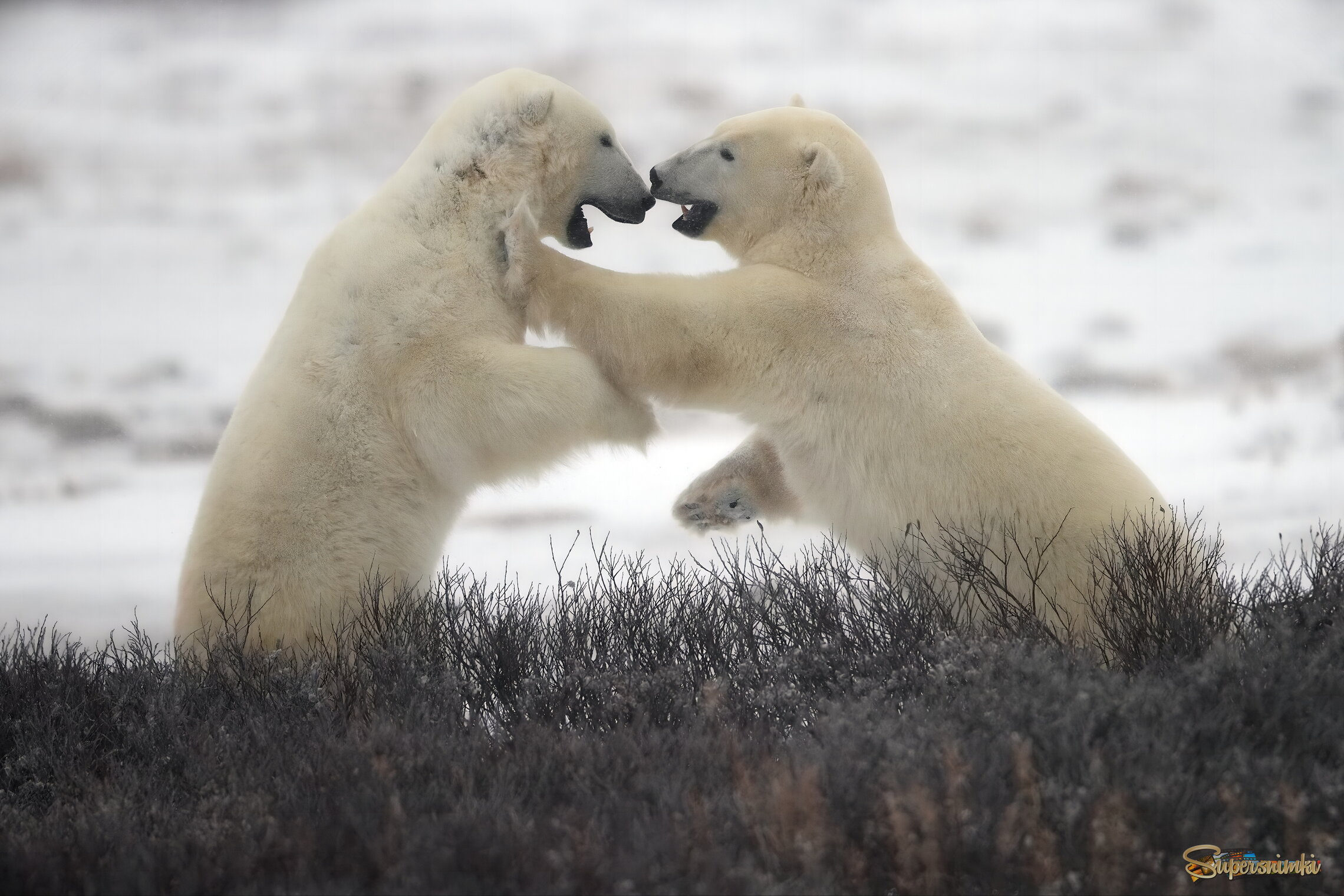 Выяснение отношений