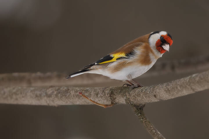 Странные вы все какие!