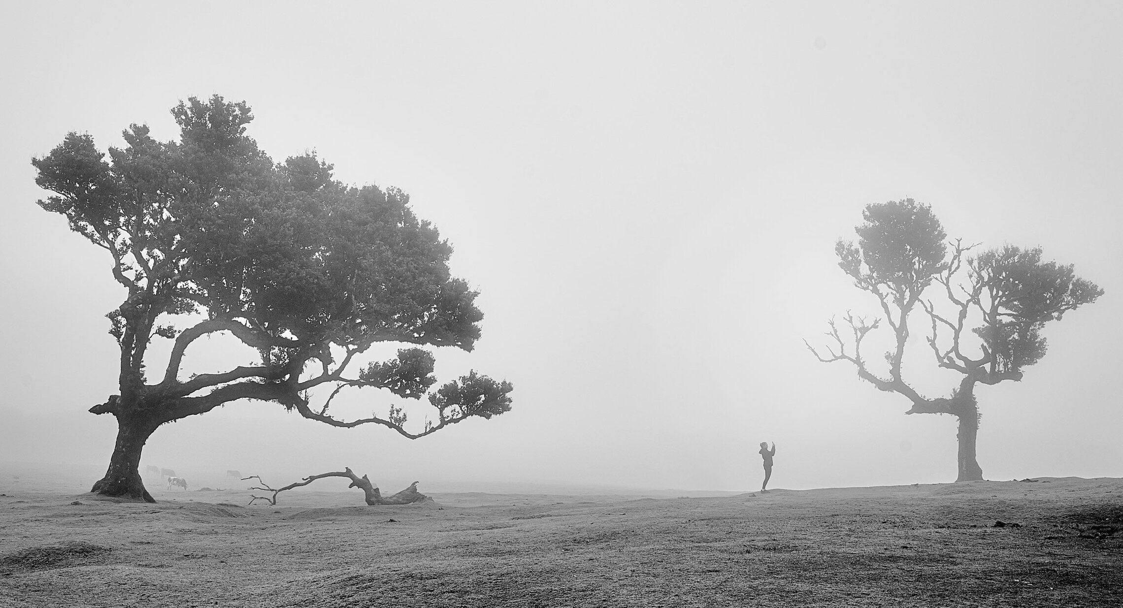 Волшебство Португалии...