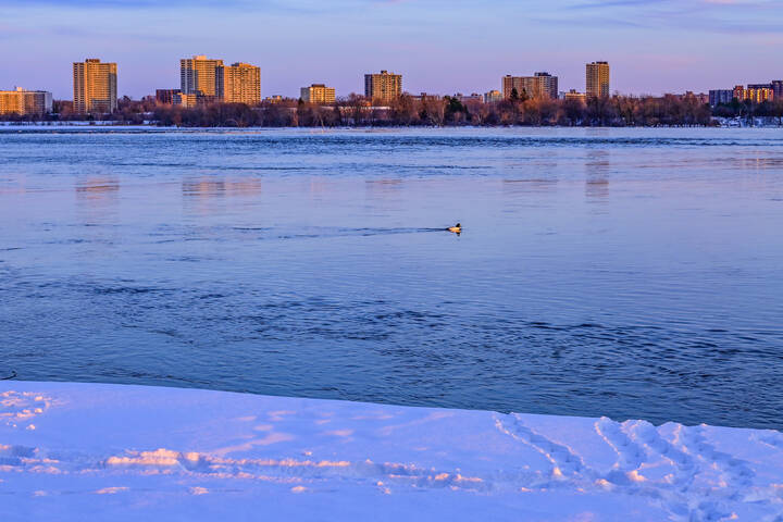 Готовясь ко сну