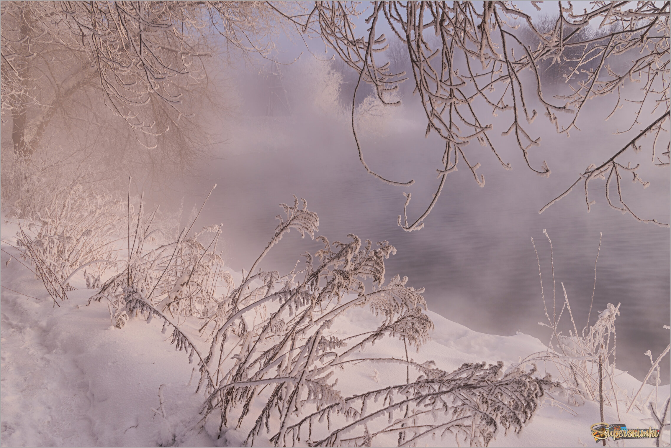 Сиреневый и золотистый туман.