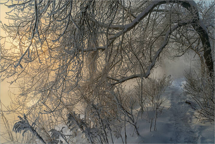 Сиреневый и золотистый туман.