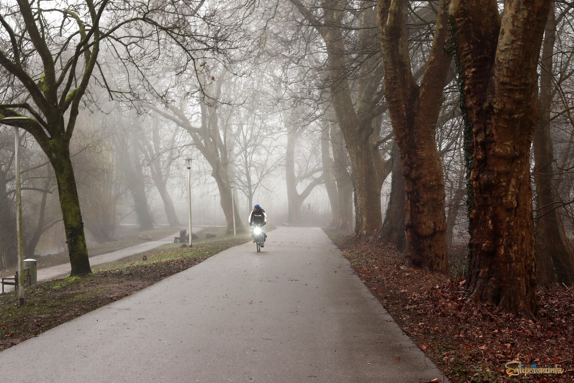 А я еду, а я еду за туманом