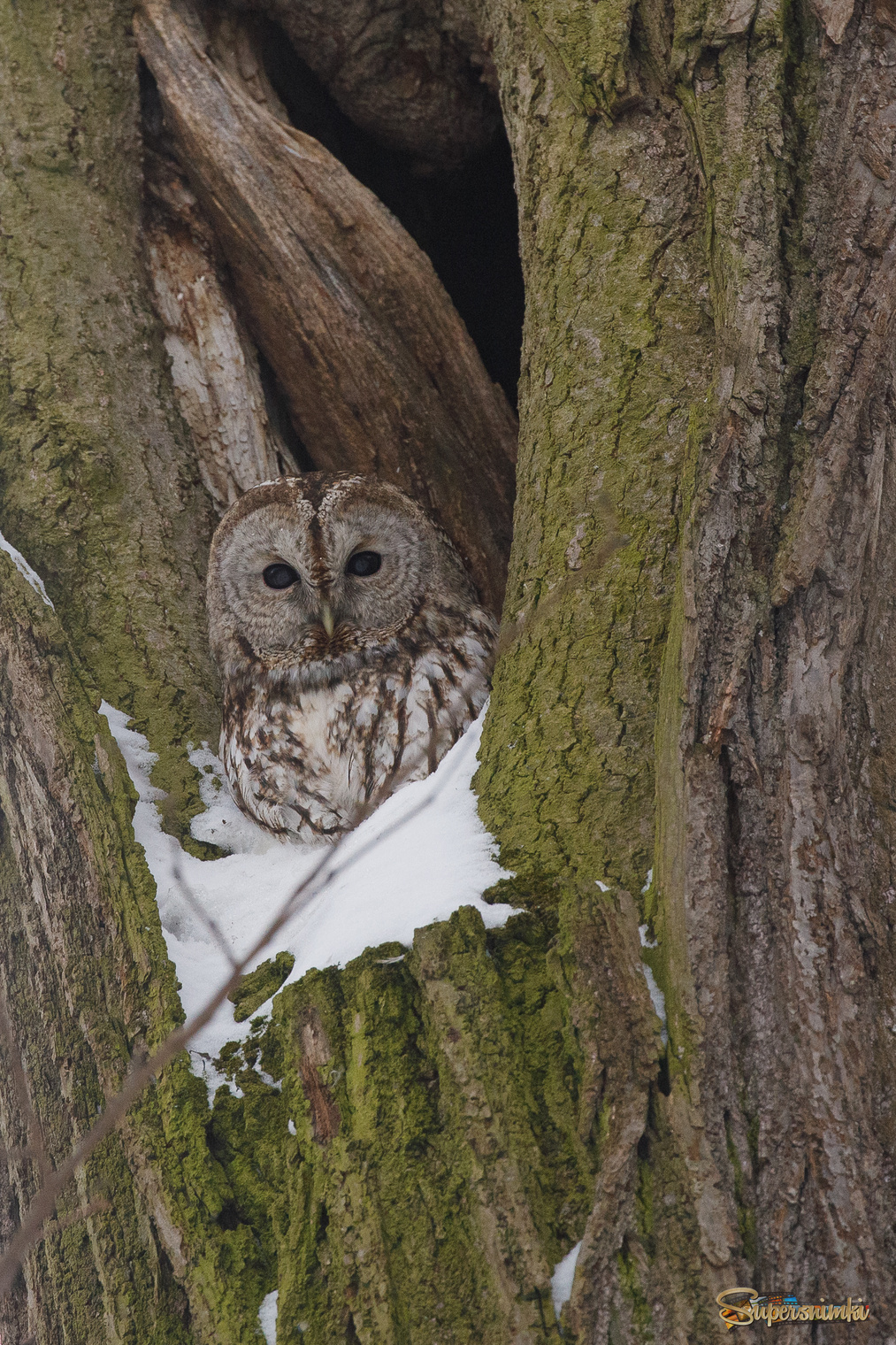 Хорошо сижу!