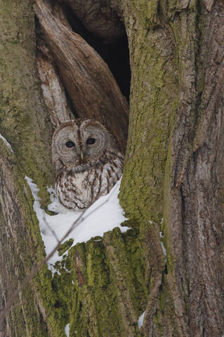 Хорошо сижу!