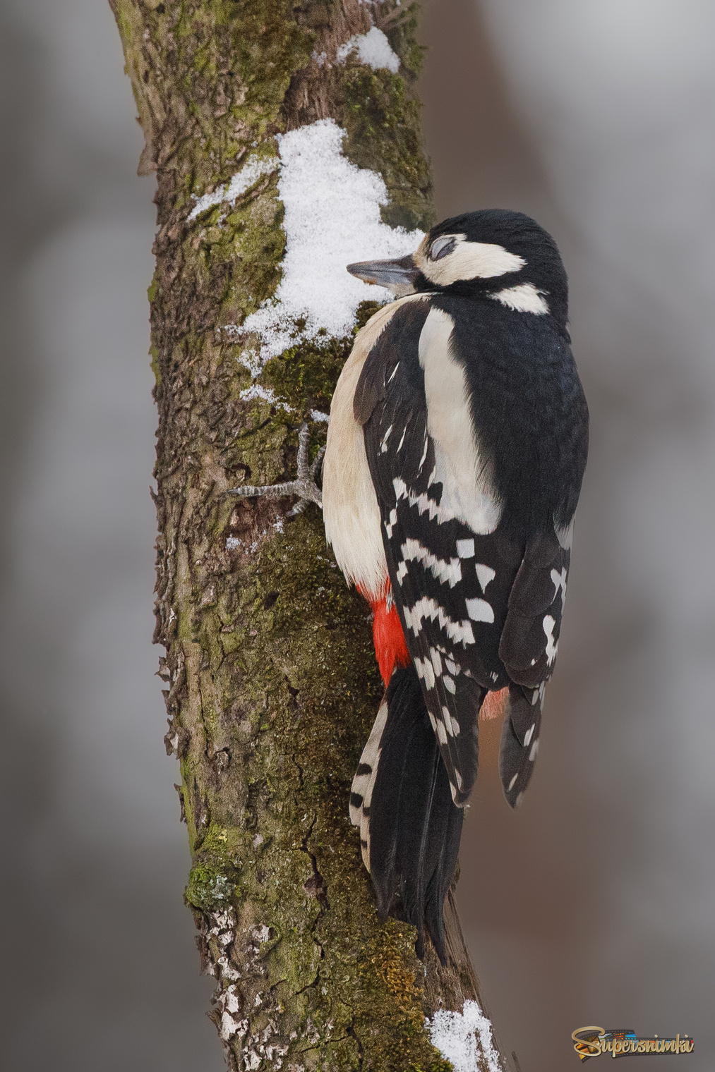 Вздремнуть чуток