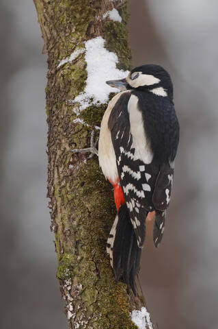 Вздремнуть чуток