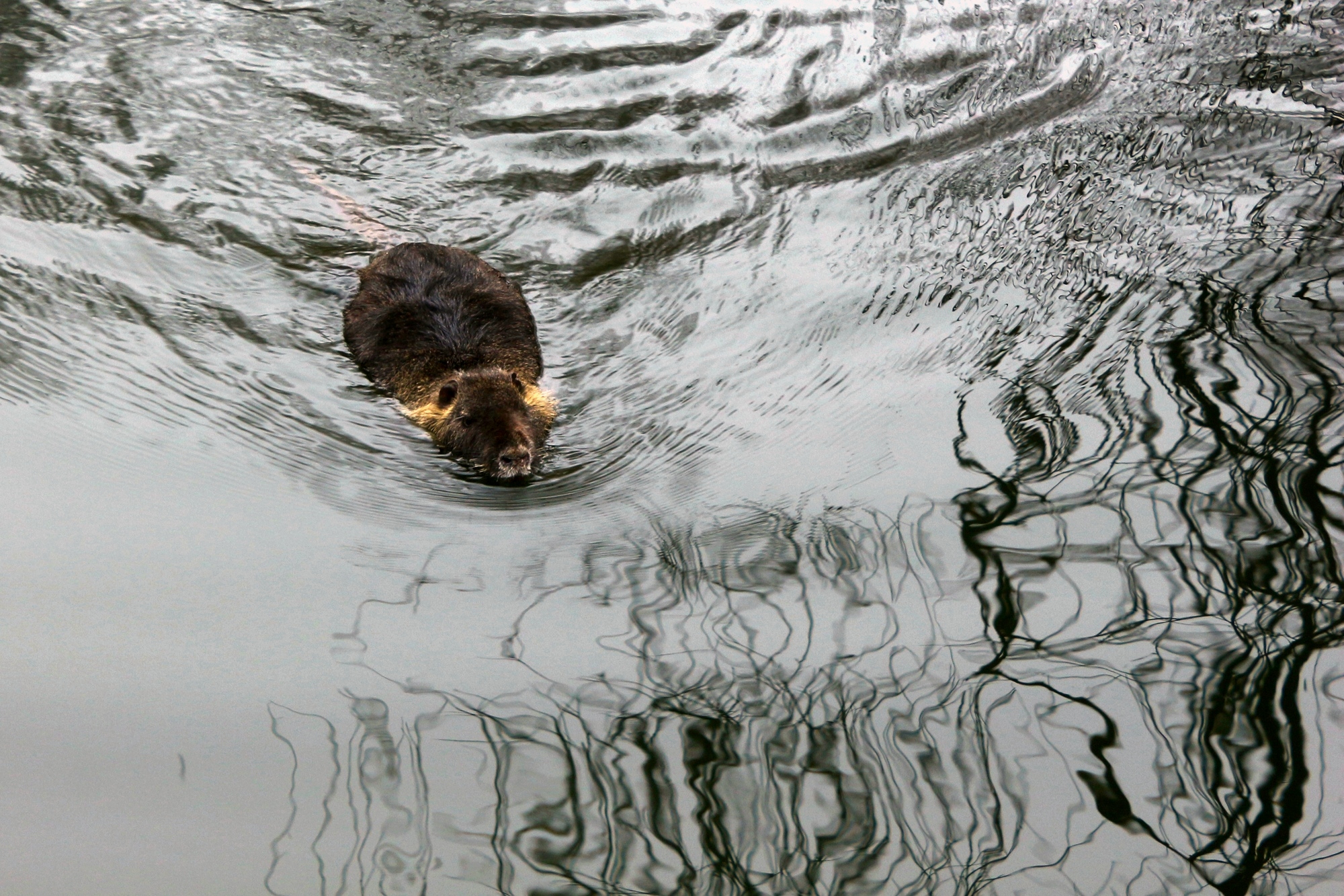 Утренние водные процедуры