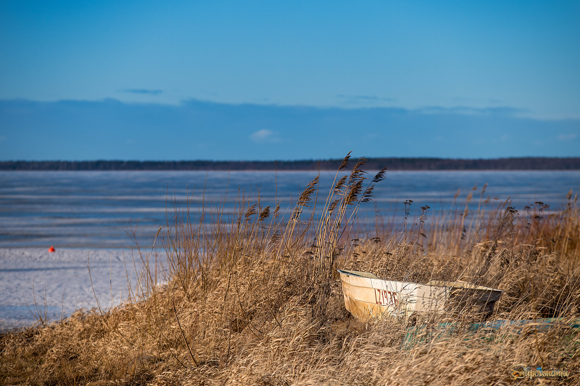 69aaf7c0b79bff8832d928e3